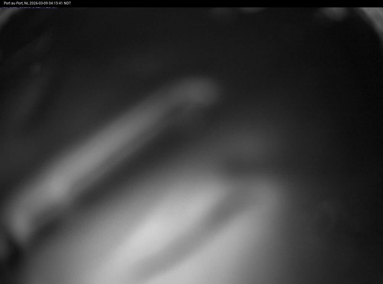 Port Au Port Live Camera Image