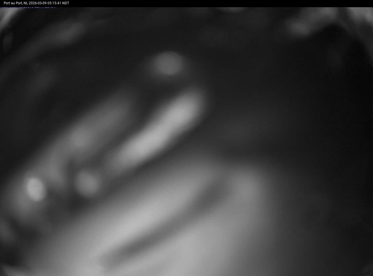 Port Au Port Live Camera Image