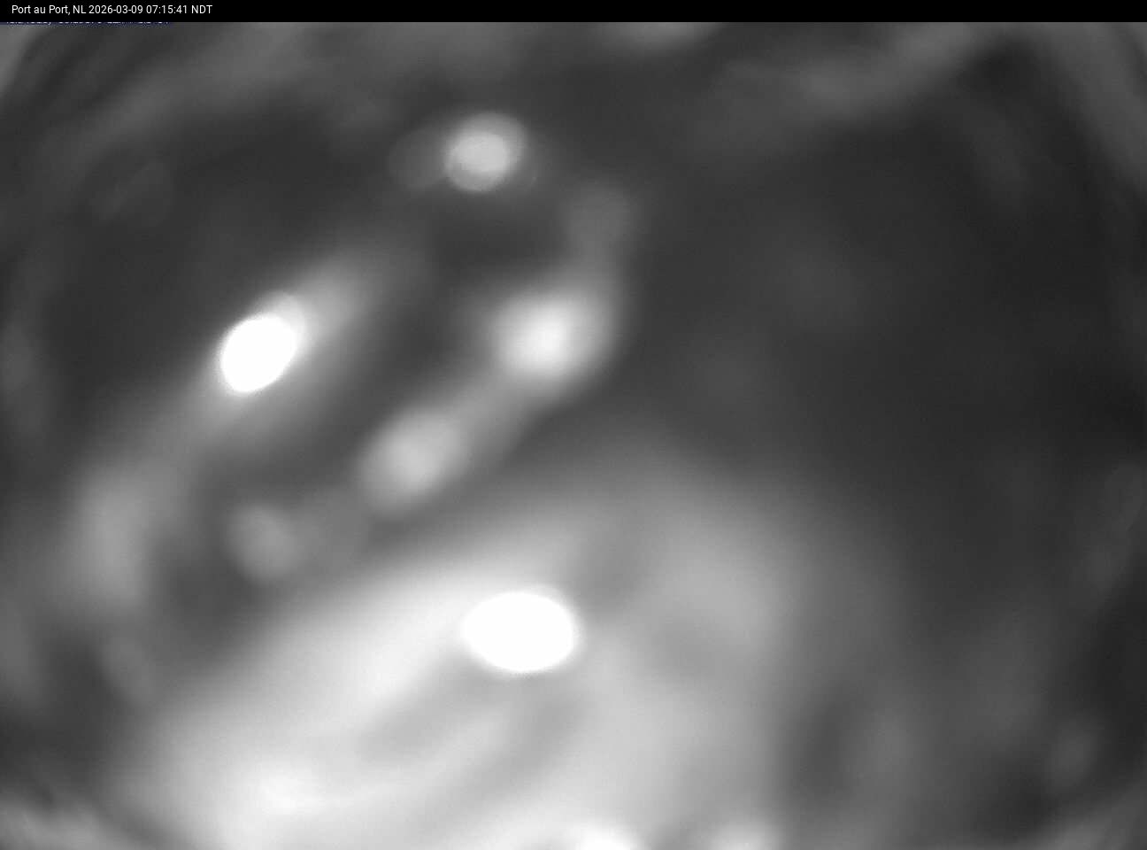 Port Au Port Live Camera Image