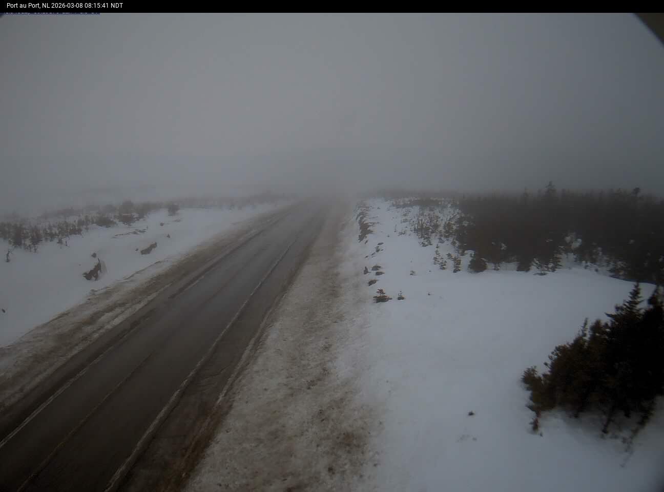 Port Au Port Live Camera Image