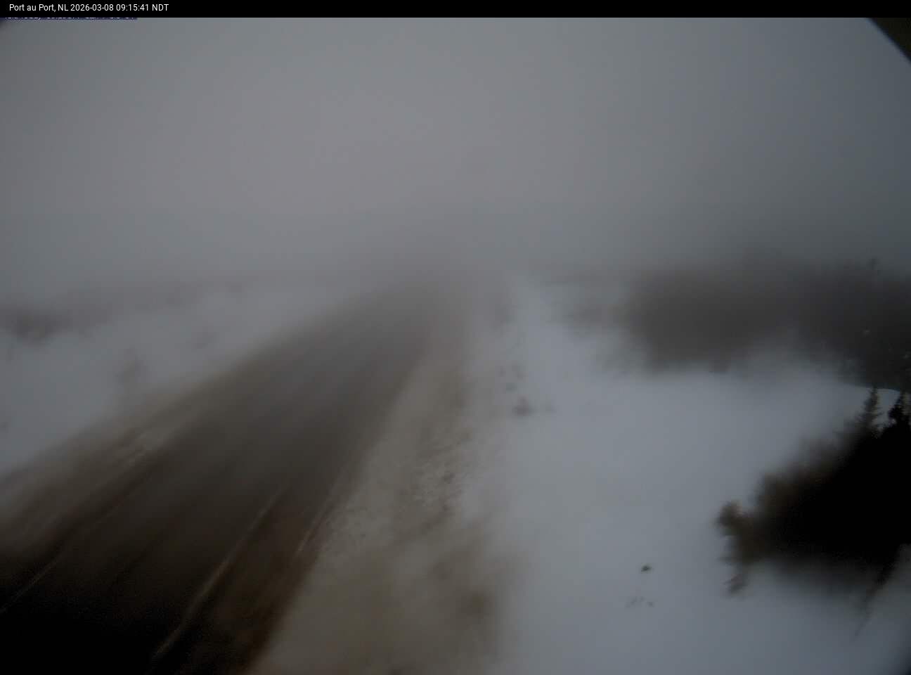 Port Au Port Live Camera Image