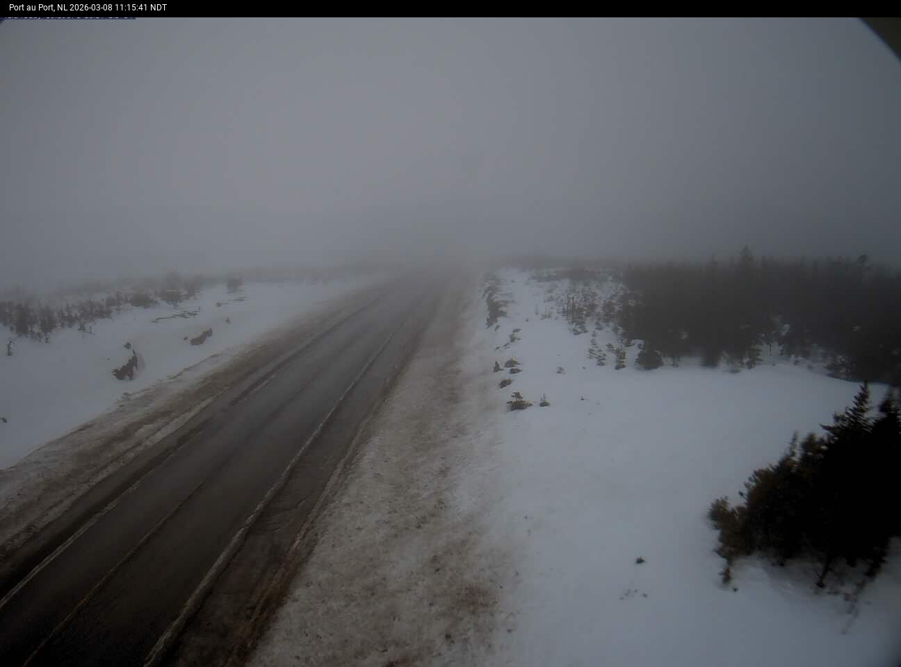 Port Au Port Live Camera Image