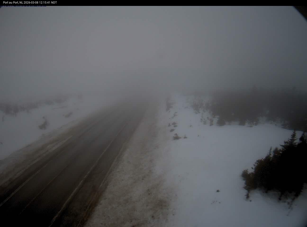 Port Au Port Live Camera Image