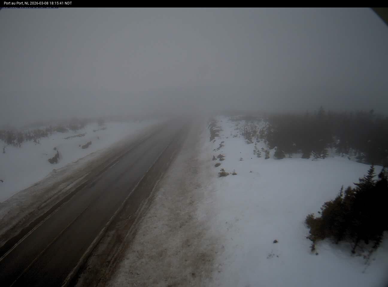 Port Au Port Live Camera Image