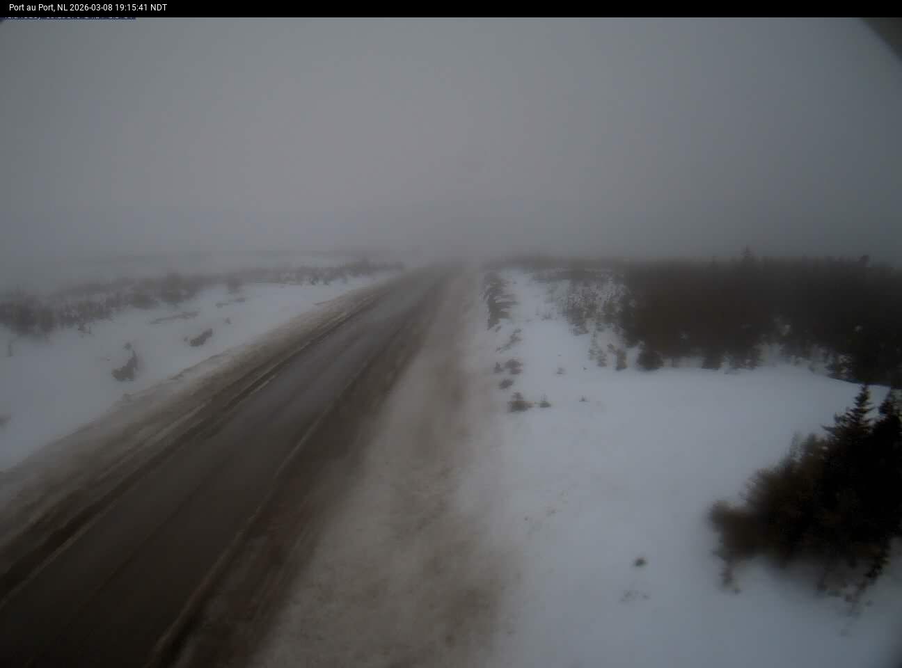 Port Au Port Live Camera Image