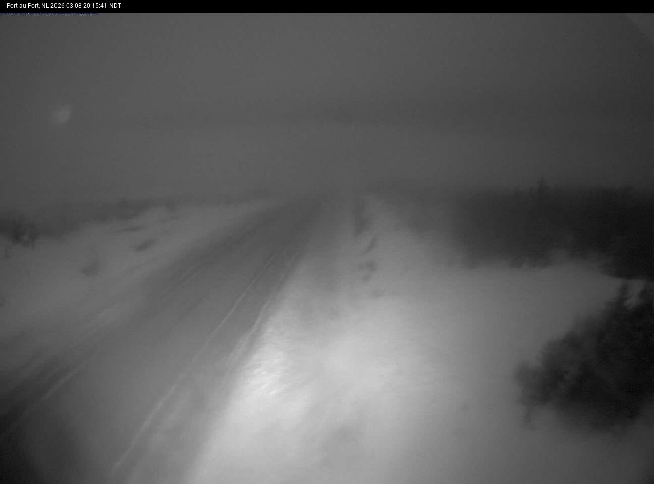 Port Au Port Live Camera Image