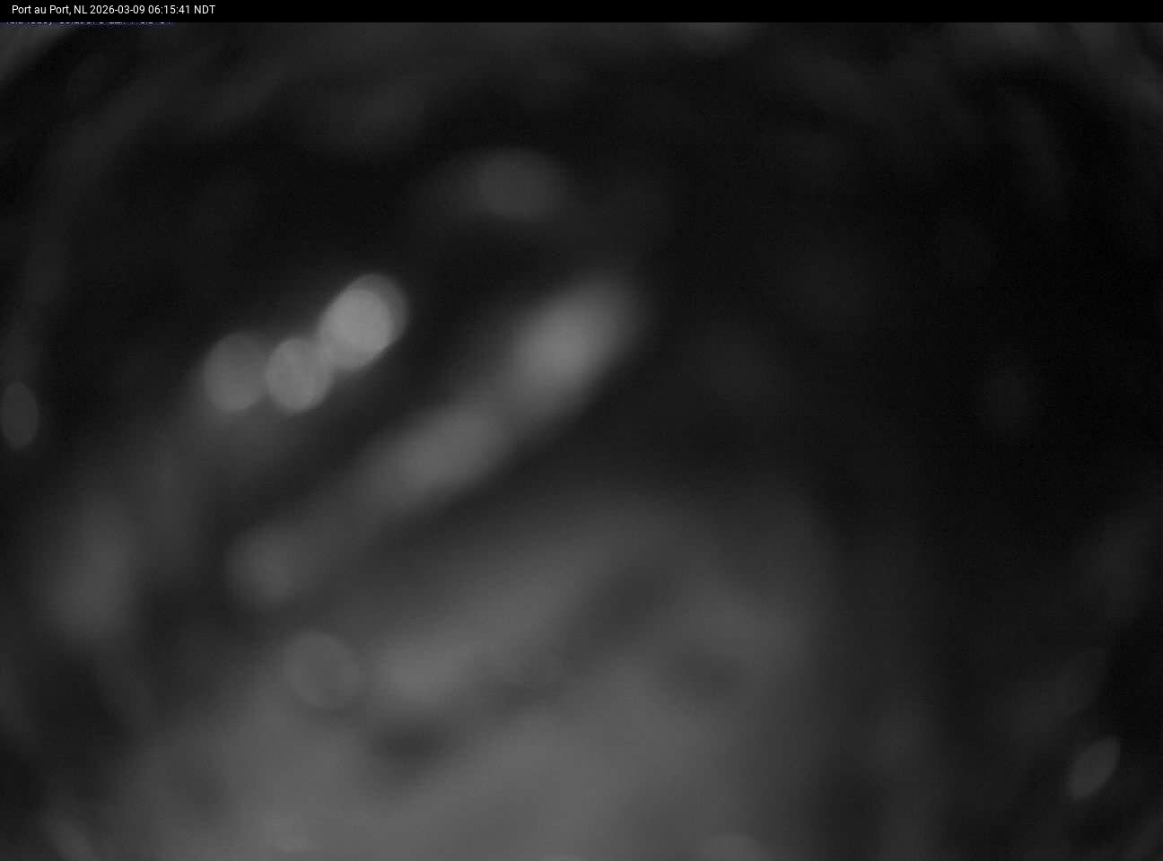 Port Au Port Live Camera Image