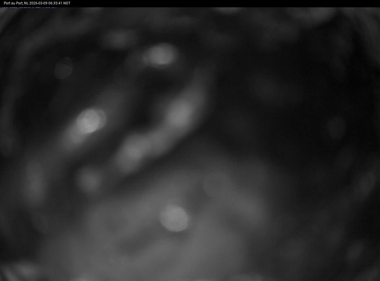 Port Au Port Live Camera Image