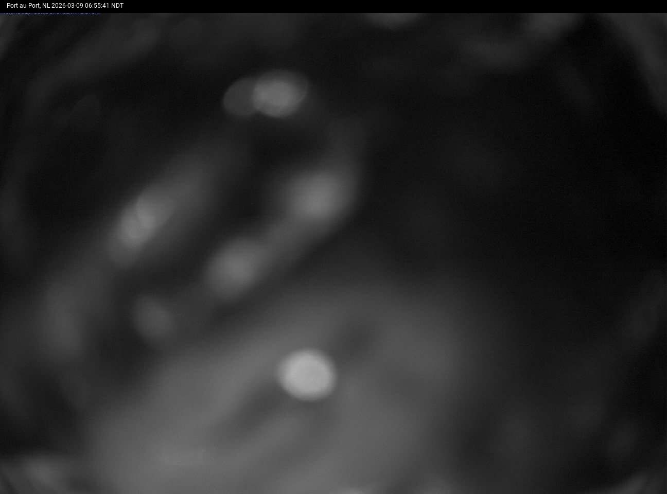 Port Au Port Live Camera Image