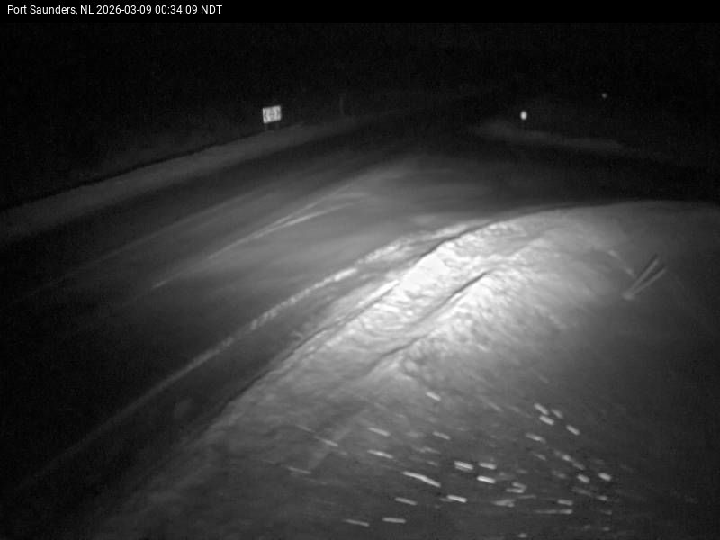 Port Saunders Live Camera Image