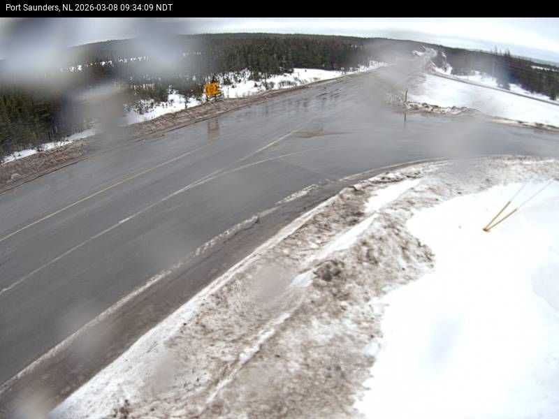 Port Saunders Live Camera Image