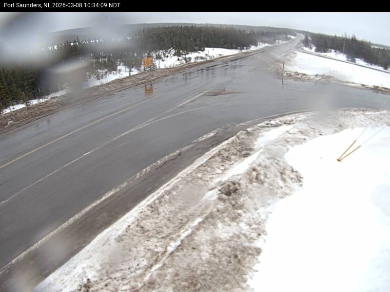 Port Saunders Live Camera Image