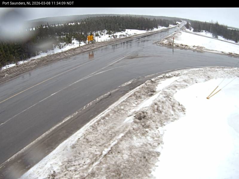 Port Saunders Live Camera Image