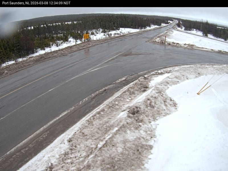Port Saunders Live Camera Image
