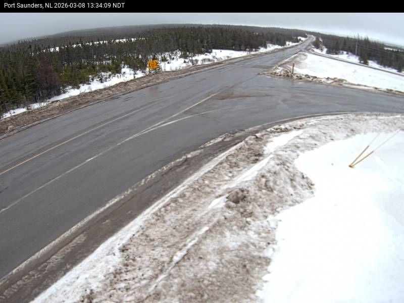 Port Saunders Live Camera Image