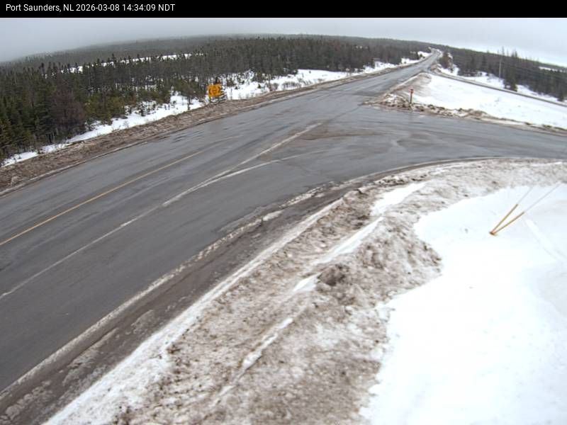 Port Saunders Live Camera Image