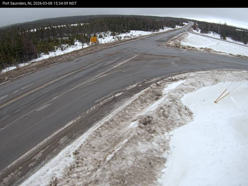 Port Saunders Live Camera Image