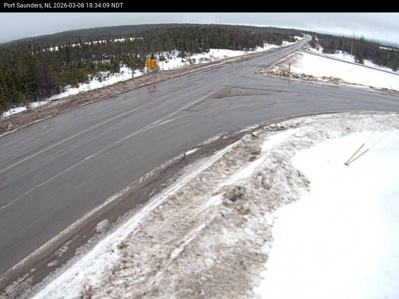 Port Saunders Live Camera Image