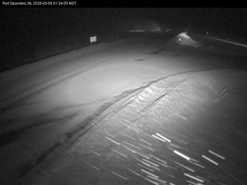 Port Saunders Live Camera Image