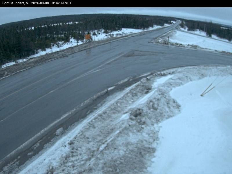 Port Saunders Live Camera Image