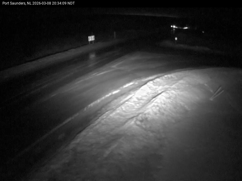 Port Saunders Live Camera Image