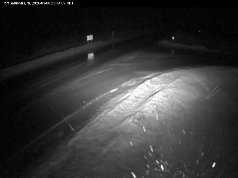 Port Saunders Live Camera Image