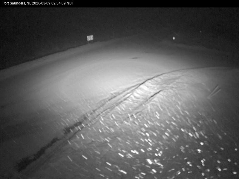 Port Saunders Live Camera Image