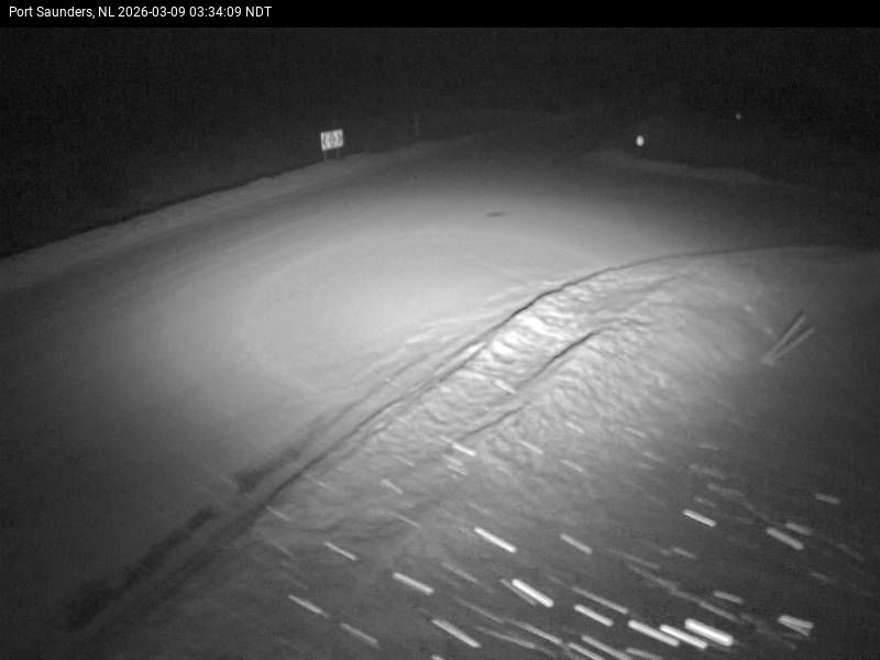 Port Saunders Live Camera Image