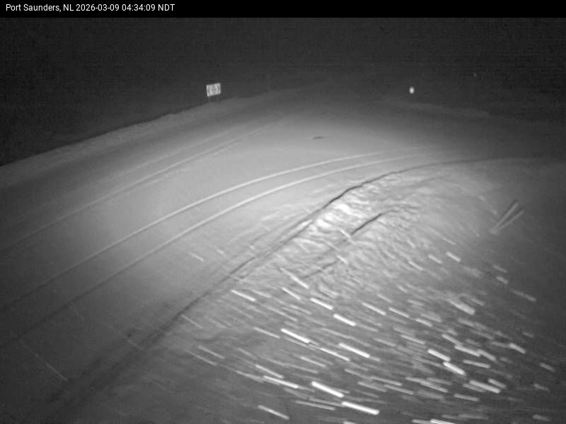 Port Saunders Live Camera Image