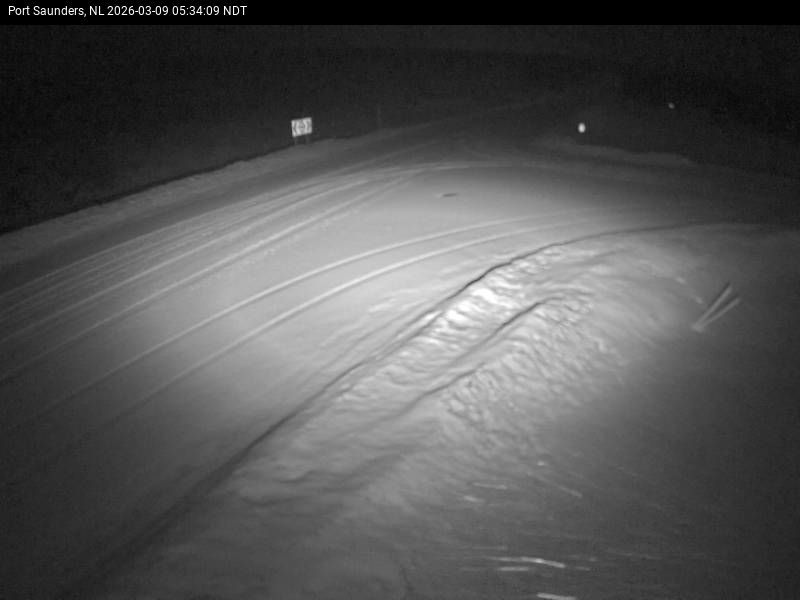 Port Saunders Live Camera Image