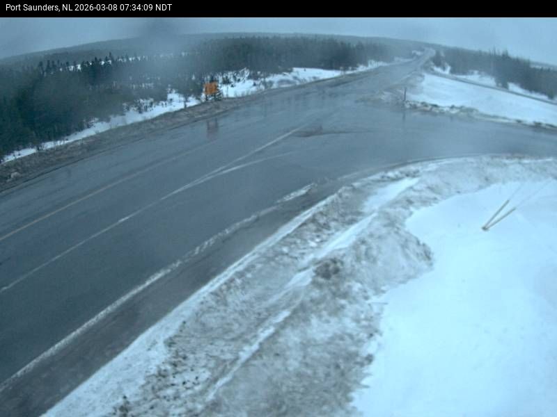 Port Saunders Live Camera Image
