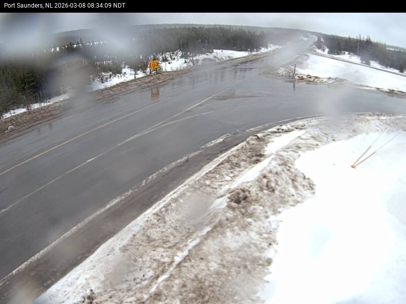 Port Saunders Live Camera Image