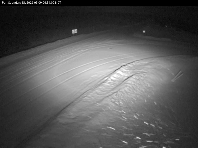 Port Saunders Live Camera Image