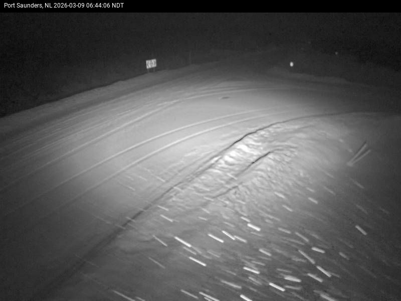 Port Saunders Live Camera Image