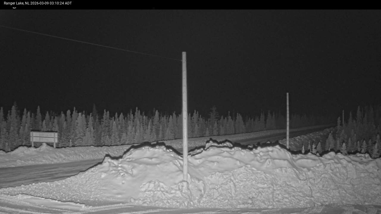 Ranger Lake Live Camera Image