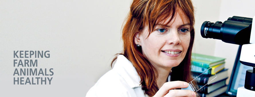 Keeping Farm Animals Healthy